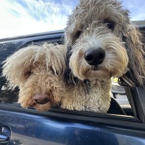 Fundraising Page: Steve Mills